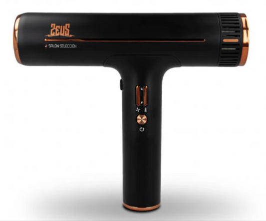 Zeus hair dryer