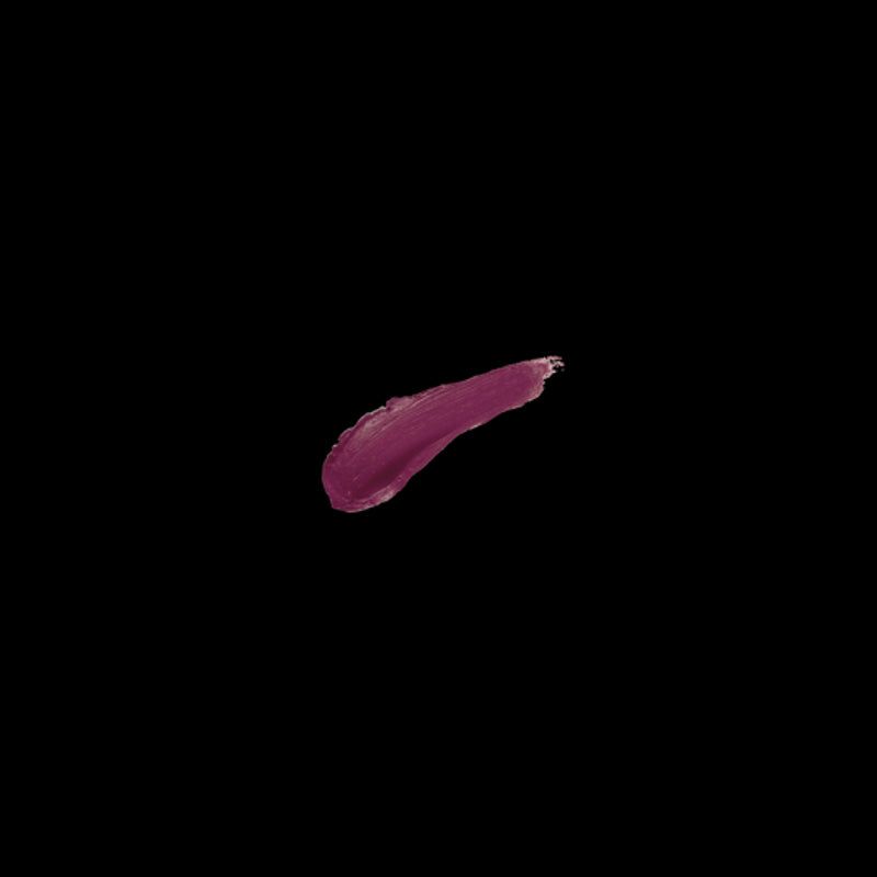 Mitrinoša lūpukrāsa SALERM 10 BURGUNDY Image