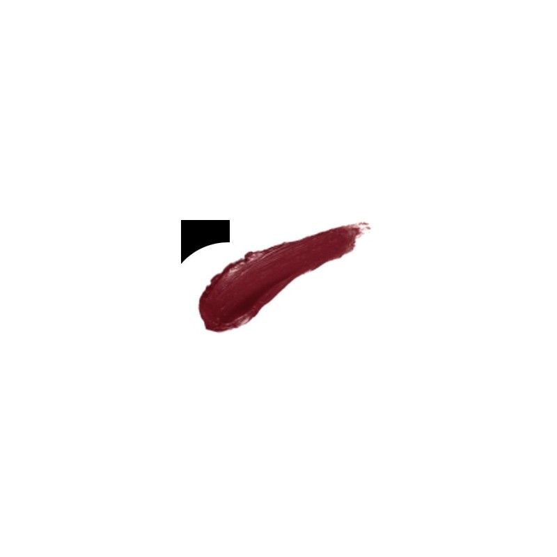 Mitrinoša lūpukrāsa SALERM 04 TRUE RED Image